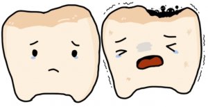 ΪʲôҪѡ����ֲ��